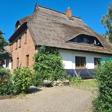 Renovated Apartment In The Old Farmhouse Krusenhagen Exterior photo