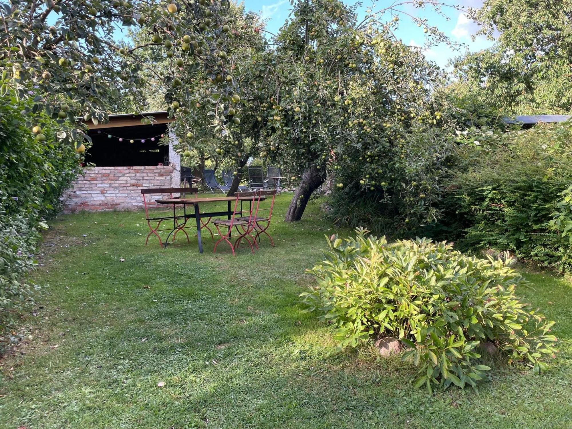Renovated Apartment In The Old Farmhouse Krusenhagen Exterior photo